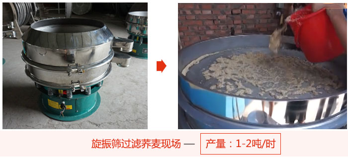 旋振篩過濾蕎麥現(xiàn)場，產(chǎn)量可達2噸每小時。